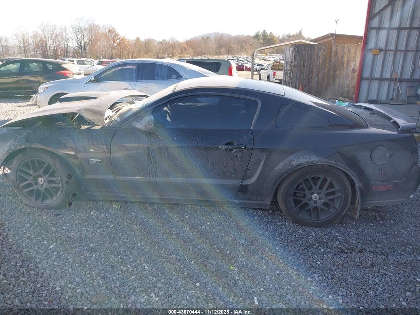 2008 Ford Mustang VIN: 1ZVHT82H785154518 Lot: 43670444