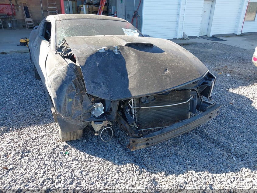 2008 Ford Mustang VIN: 1ZVHT82H785154518 Lot: 43670444