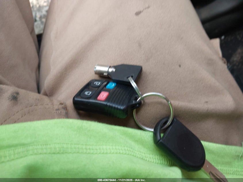 2008 Ford Mustang VIN: 1ZVHT82H785154518 Lot: 43670444