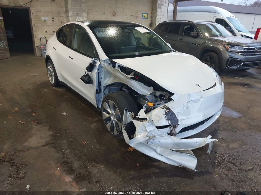 TESLA MODEL Y MODEL Y