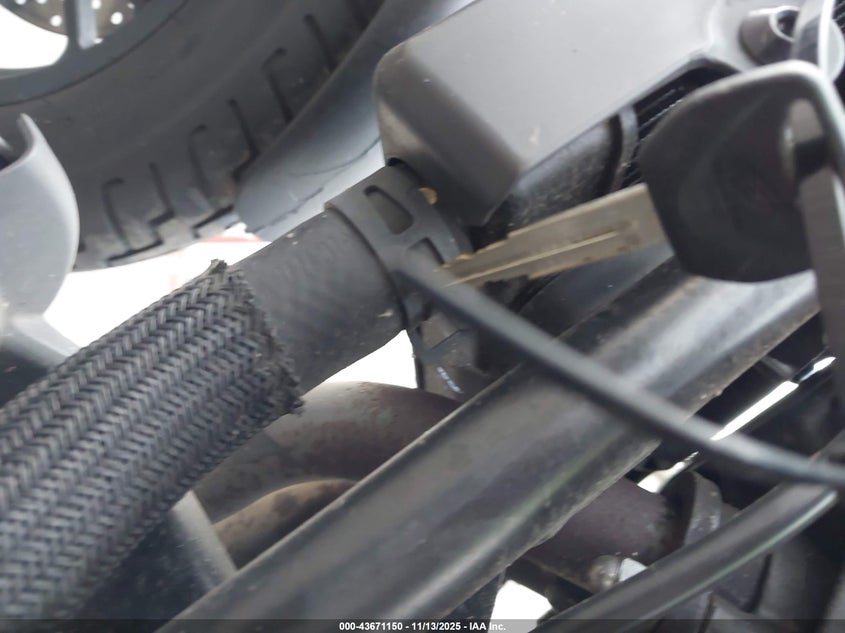 2022 Honda Cmx500 VIN: MLHPC5609N5501079 Lot: 43671150