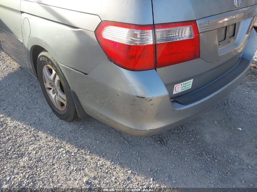 2005 Honda Odyssey Ex-L VIN: 5FNRL38645B014789 Lot: 43671177