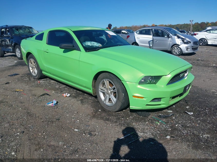 FORD MUSTANG V6