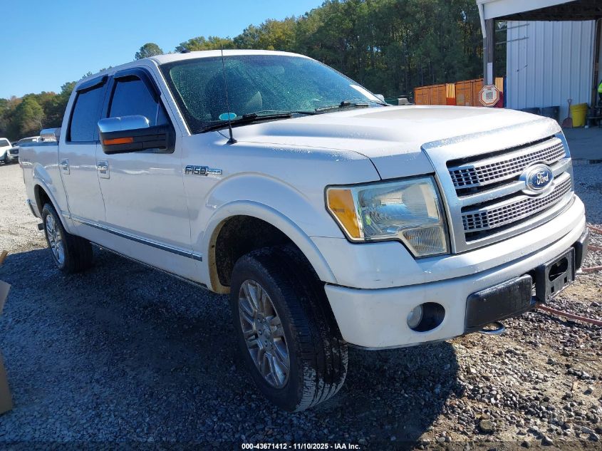 FORD F-150 FX4/HARLEY-DAVIDSON/KING RANCH/LARIAT/PLATINUM/XL/XLT