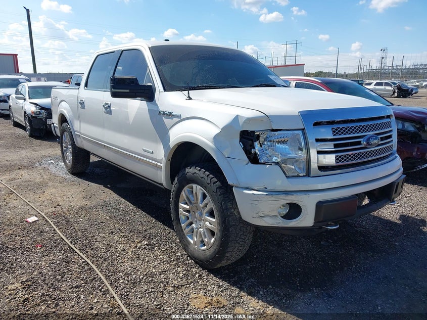FORD F-150 PLATINUM