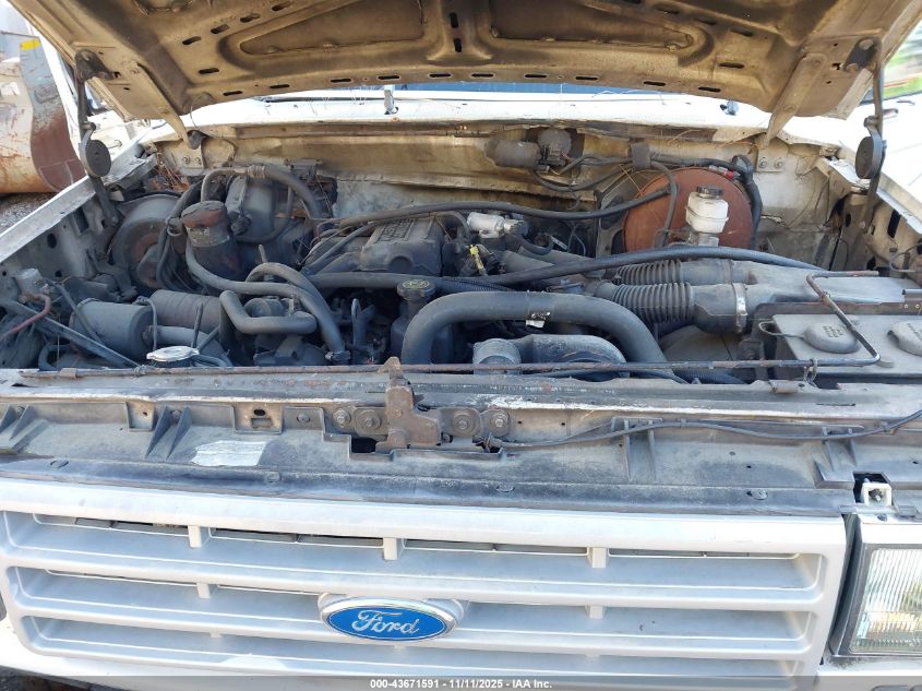 1991 Ford F150 VIN: 1FTEF15Y0MNA94575 Lot: 43671591