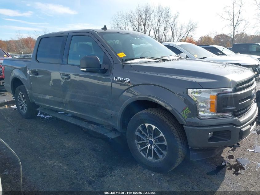 FORD F-150 XLT