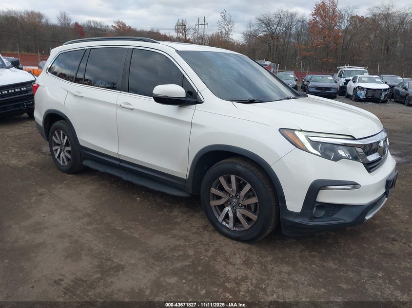 2019 HONDA PILOT EX-L - 5FNYF6H57KB084892