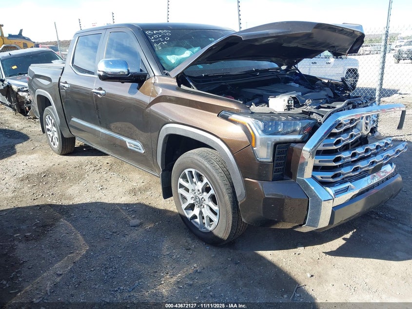 2025 TOYOTA TUNDRA 1794 EDITION - 5TFMA5DB1SX256925