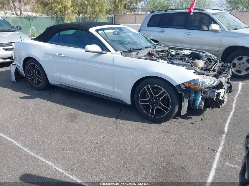 2019 FORD MUSTANG ECOBOOST - 1FATP8UH5K5159017