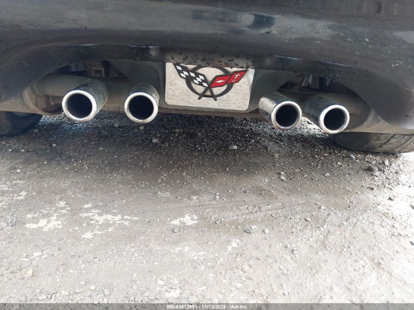 1999 Chevrolet Corvette VIN: 1G1YY32G2X5123571 Lot: 43672991