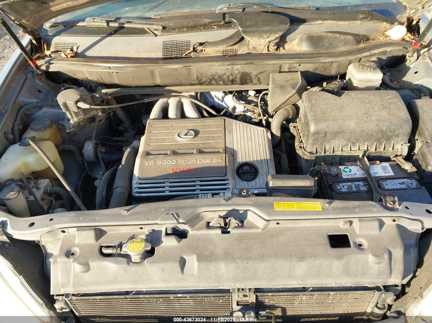 2002 Lexus Rx 300 VIN: JTJGF10U720131920 Lot: 43673024