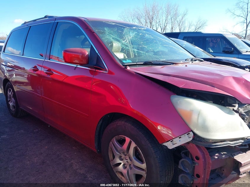2005 Honda Odyssey Ex-L VIN: 5FNRL38755B084083 Lot: 43673052