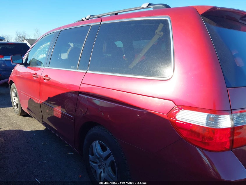 2005 Honda Odyssey Ex-L VIN: 5FNRL38755B084083 Lot: 43673052