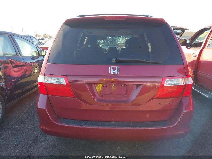 2005 Honda Odyssey Ex-L VIN: 5FNRL38755B084083 Lot: 43673052