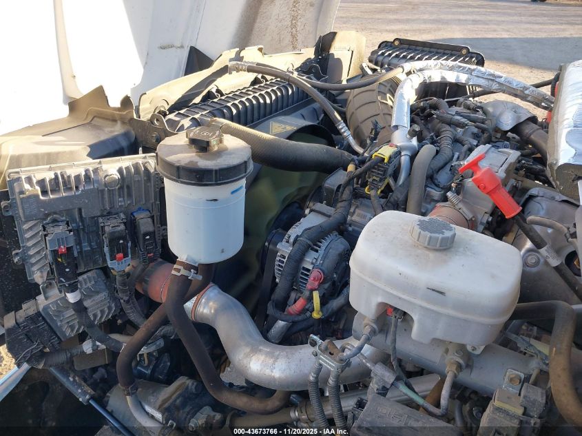 2023 Chevrolet Silverado Md Work Truck VIN: 1HTKJPVK8PH750253 Lot: 43673766