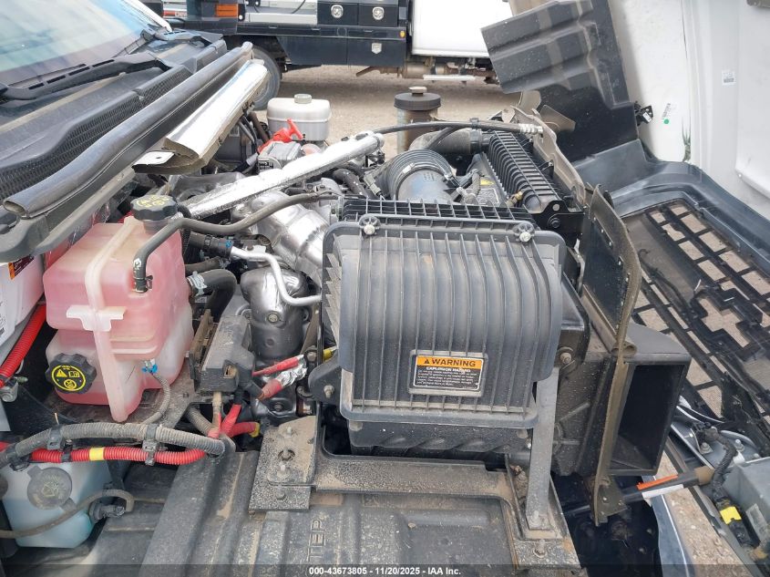 2023 Chevrolet Silverado Md Work Truck VIN: 1HTKJPVM1PH507479 Lot: 43673805