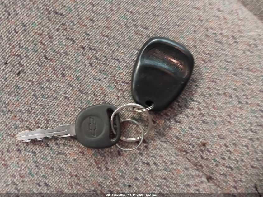 2004 Chevrolet Astro VIN: 1GNDM19X34B131825 Lot: 43673845