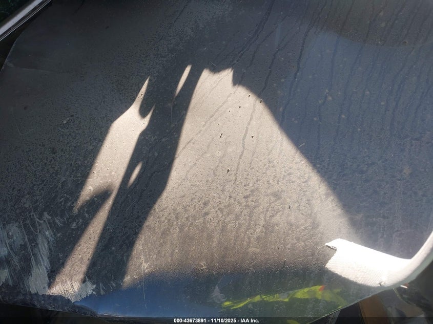 2024 Tesla Model 3 Long Range Dual Motor All-Wheel Drive/Rear-Wheel Drive VIN: 5YJ3E1EA3RF738802 Lot: 43673891