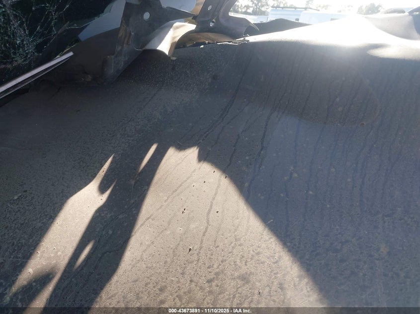 2024 Tesla Model 3 Long Range Dual Motor All-Wheel Drive/Rear-Wheel Drive VIN: 5YJ3E1EA3RF738802 Lot: 43673891