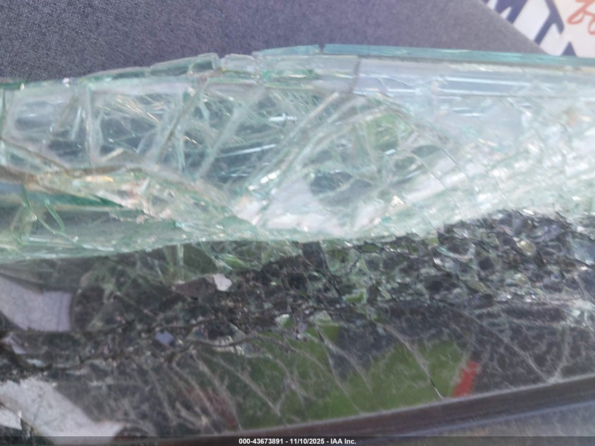 2024 Tesla Model 3 Long Range Dual Motor All-Wheel Drive/Rear-Wheel Drive VIN: 5YJ3E1EA3RF738802 Lot: 43673891