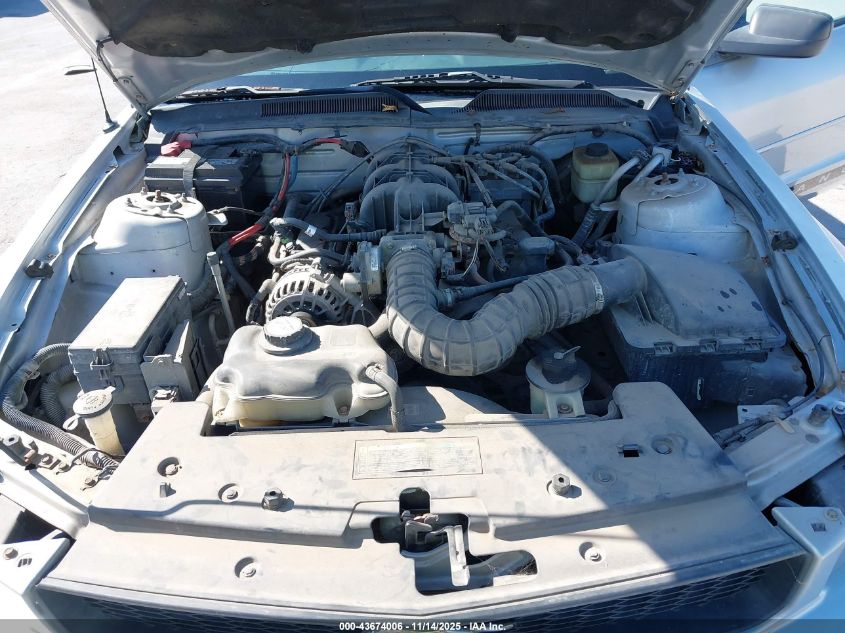 2007 Ford Mustang VIN: 1ZVFT80NX75253350 Lot: 43674006