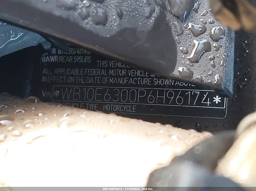 2023 BMW S 1000 Rr VIN: WB10E6300P6H96174 Lot: 43674213
