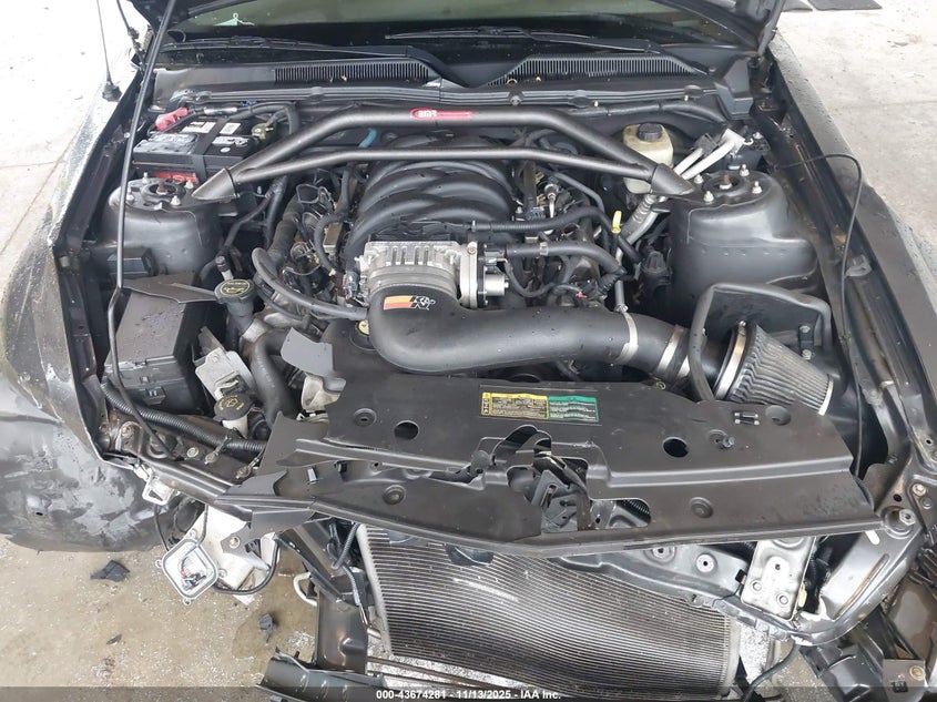 2008 Ford Mustang Gt Deluxe/Gt Premium VIN: 1ZVHT82H985149191 Lot: 43674281