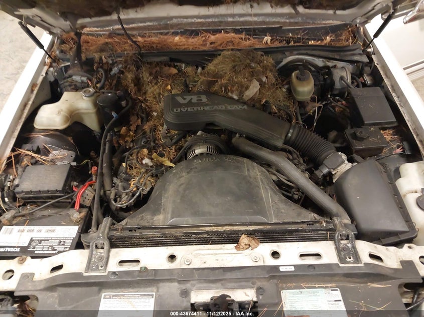 1LNLM81W2NY630450 1992 LINCOLN TOWN CAR photo no. 10