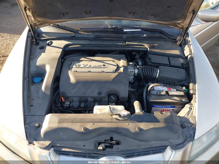 2004 Acura Tl VIN: 19UUA66294A065411 Lot: 43674440