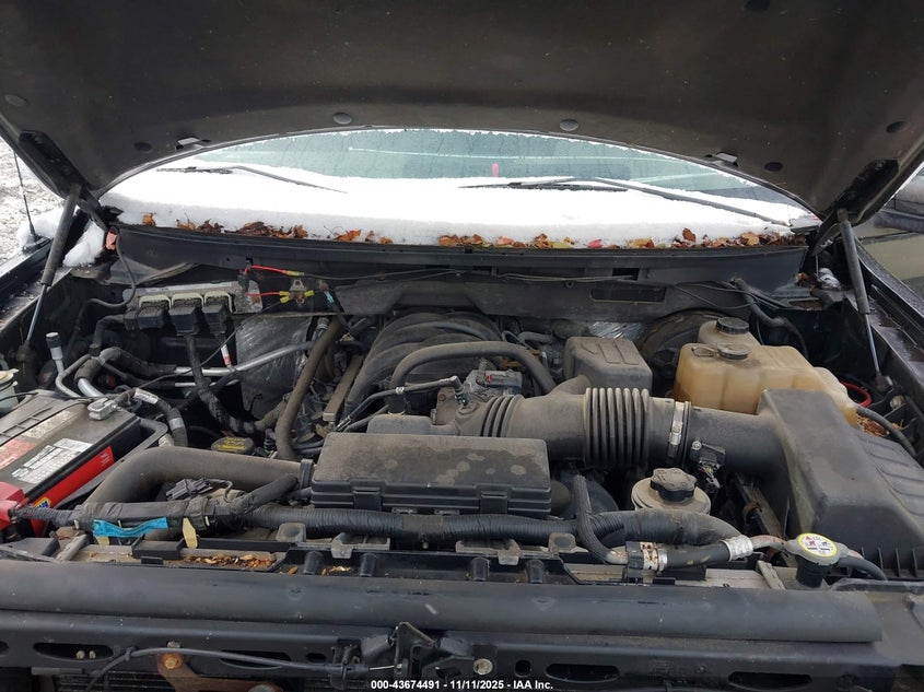1FTRF14859KB66947 2009 FORD F-150 photo no. 10