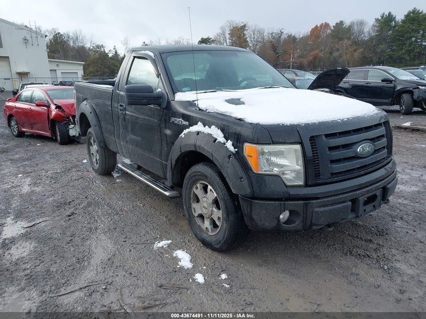 1FTRF14859KB66947 2009 FORD F-150 photo no. 19