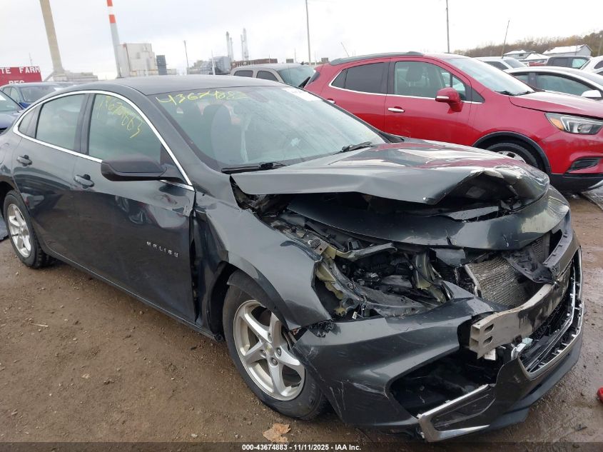 CHEVROLET MALIBU 1LS