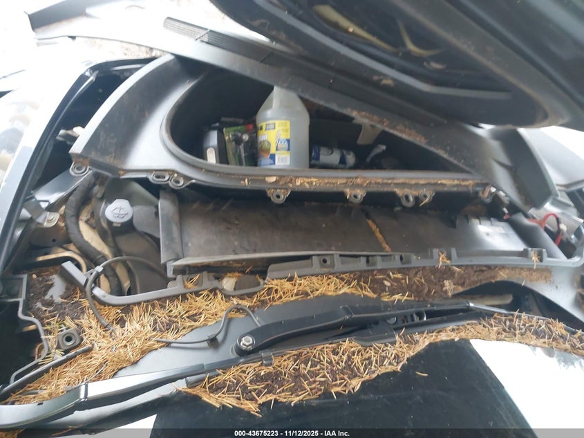 2023 Tesla Model Y Awd/Long Range Dual Motor All-Wheel Drive VIN: 7SAYGDEE2PF868008 Lot: 43675223