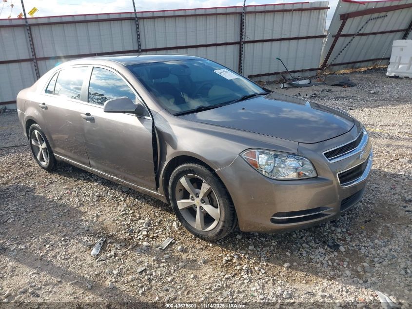 CHEVROLET MALIBU 1LT