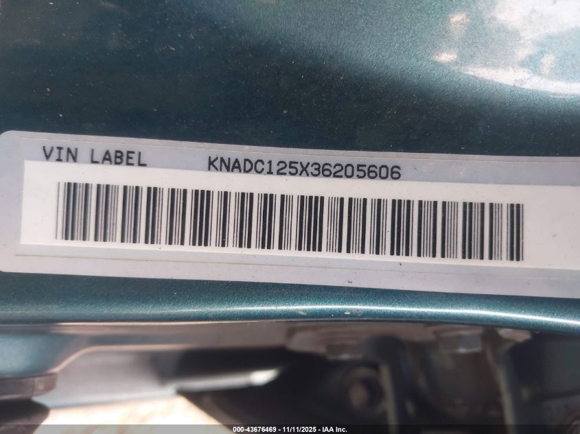 2003 Kia Rio VIN: KNADC125X36205606 Lot: 43676469