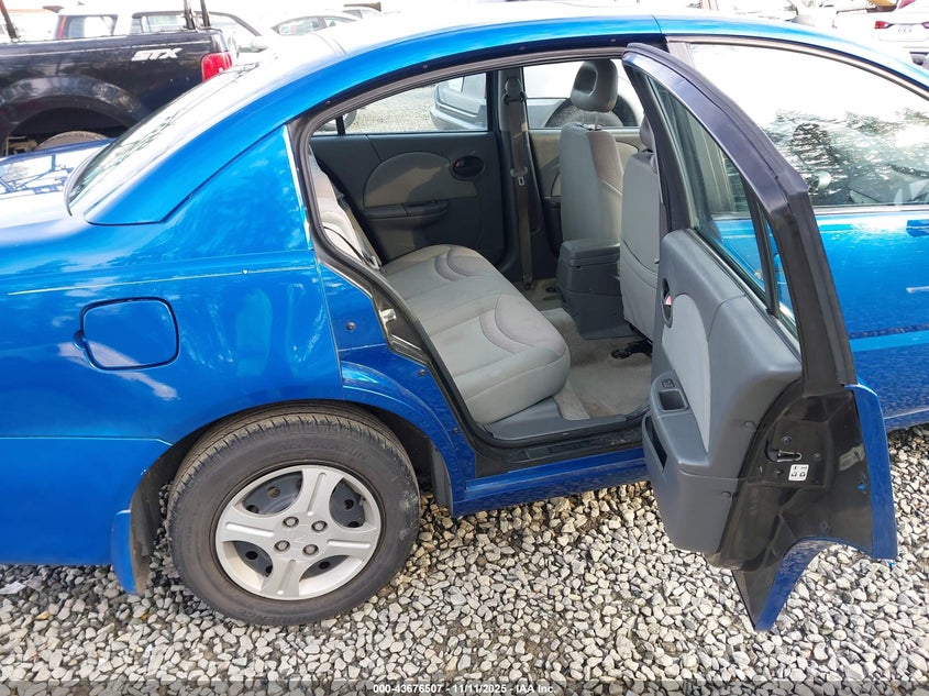 2004 Saturn Ion 2 VIN: 1G8AJ52F14Z128968 Lot: 43676507