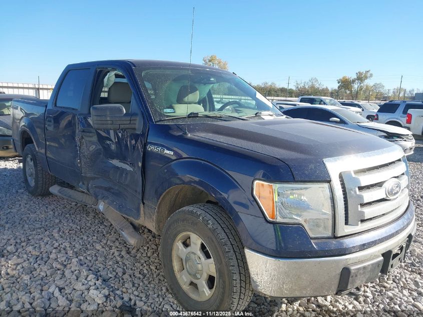 FORD F-150 FX4/HARLEY-DAVIDSON/KING RANCH/LARIAT/PLATINUM/XL/XLT