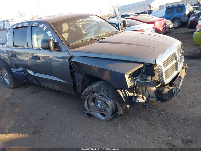 2006 Dodge Dakota Slt VIN: 1D7HW48N06S630192 Lot: 43676645