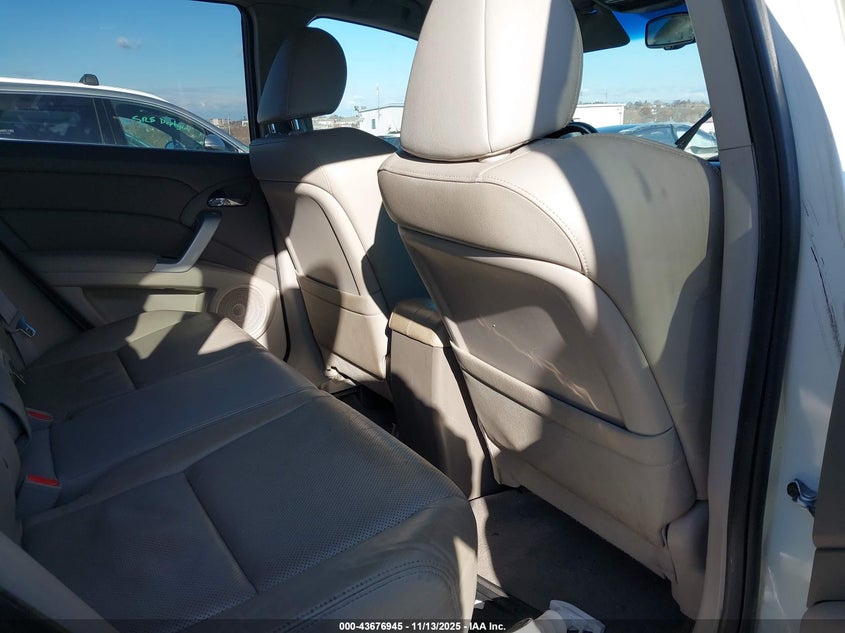 2009 Acura Rdx VIN: 5J8TB18549A008060 Lot: 43676945