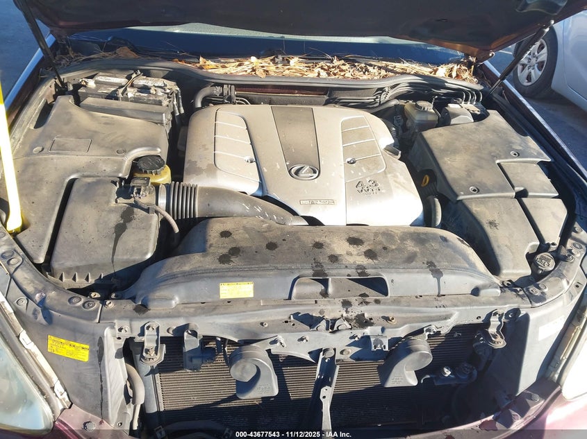 JTHBN36F255028799 2005 LEXUS LS photo no. 10