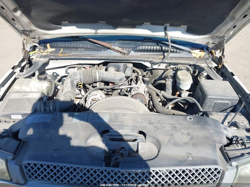 1GCEC14X53Z233303 2003 CHEVROLET SILVERADO photo no. 10