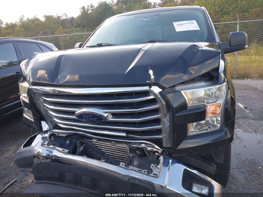 1FTEW1CP3FFC11685 2015 FORD F-150 photo no. 12