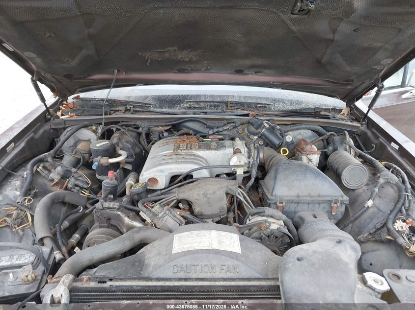 1988 Lincoln Town Car VIN: 1LNBM81F0JY771409 Lot: 43678086