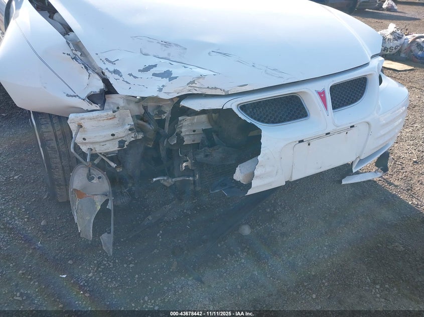 1999 Pontiac Grand Am Se1 VIN: 1G2NE52T7XM924776 Lot: 43678442