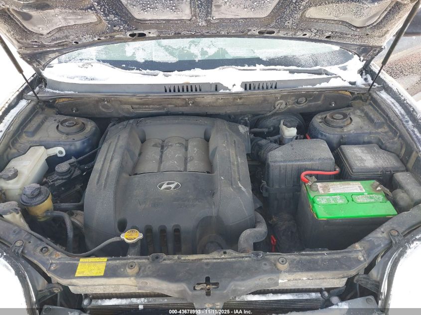 2004 Hyundai Santa Fe Gls VIN: KM8SC73D24U730882 Lot: 43678993