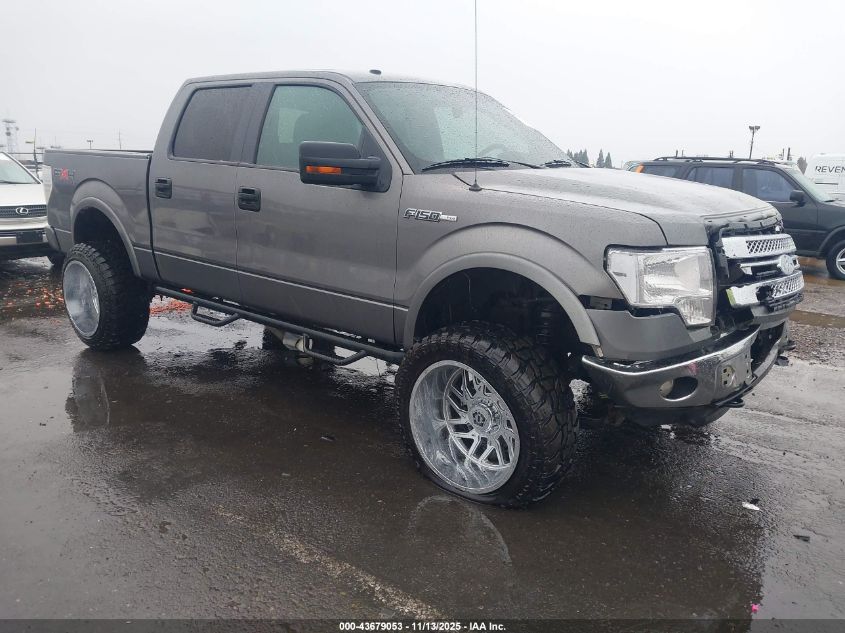 FORD F-150 FX4/HARLEY-DAVIDSON/KING RANCH/LARIAT/PLATINUM/XL/XLT