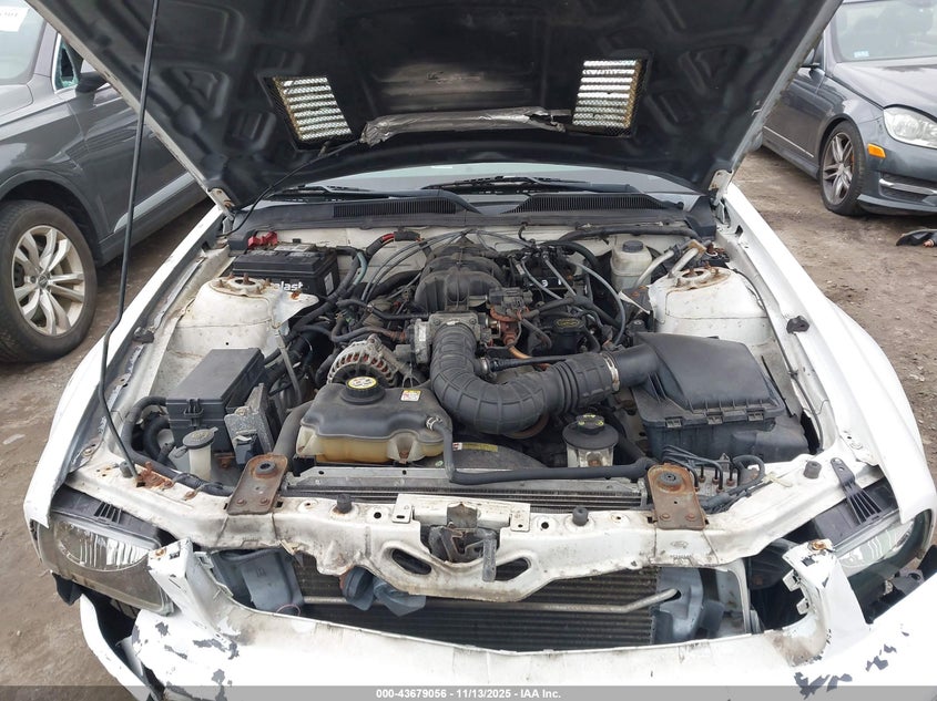 2006 Ford Mustang V6 VIN: 1ZVFT80N465180491 Lot: 43679056