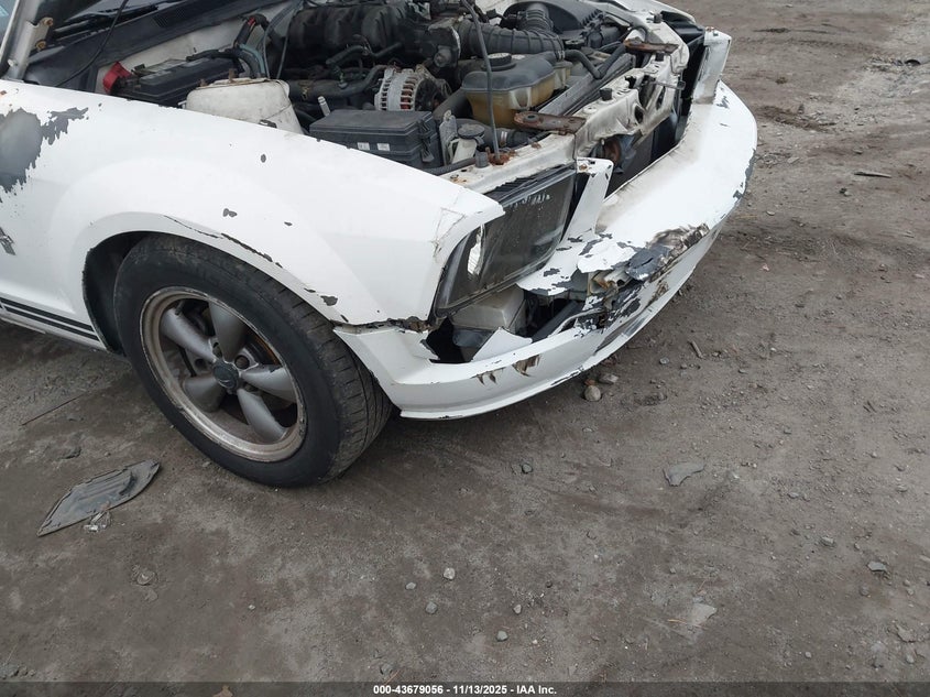 2006 Ford Mustang V6 VIN: 1ZVFT80N465180491 Lot: 43679056