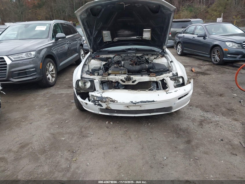 2006 Ford Mustang V6 VIN: 1ZVFT80N465180491 Lot: 43679056